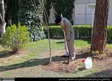 کاشت دو نهال توسط رهبر انقلاب در هفته منابع طبیعی/ توصیه‌های رهبر انقلاب برای مقابله با کرونا/  آیت الله خامنه‌ای: این بلا آنچنان بزرگ نیست و بزرگ‌تر از آن نیز وجود داشته است
