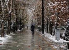 بارش برف و باران در ۱۹ استان/ بیشترین بارش‌ها کجاست؟