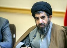 انتقاد یک نماینده مجلس از گرانی‌ها/ موسوی لارگانی: سلامت مردم با گرانی‌ها به خطر افتاده است