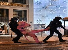 پلنگ صورتی در تظاهرات فرانسه دستگیر شد!/عکس