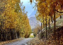 پاییز امسال ۱ ونیم درجه گرمتر است/ ۶۰ تا ۷۰ درصد کاهش بارش خواهیم داشت 