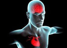 ارتباط یک پروتئین با بروز آسیب مغزی