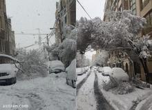 برف سر شهرداری تهران را بی کلاه گذاشت/ مقصر اصلی در این بی نظمی ها برف بود