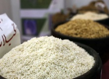 دبیر انجمن تولیدکنندگان برنج: ریختن برنج در دریا کذب است