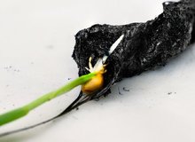 انقلاب در کشاورزی با خاک برق‌دار سوئدی