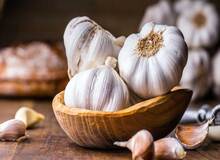 سیر را پخته بخوریم یا خام؟