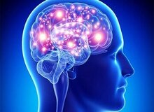 با ۴ عاملی که مغز را کوچک می کند، آشنا شوید؟