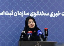 قویدل: ثبت ۲۹ هزار و ۱۱ ازدواج در جنگ اخیر/ «ساغر» به زودی راه‌اندازی می‌شود