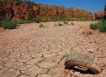 تا ۱۰ سال آینده دشت قزوین به کویر تبدیل خواهد شد