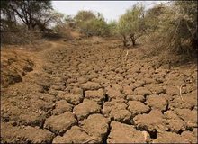 چهارمحال و بختیاری؛ چهاردهمین استان خشک کشور