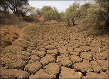 چهارمحال و بختیاری؛ چهاردهمین استان خشک کشور
