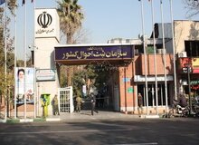 سازمان ثبت احوال: اینکه هیچ وقت به «مهسا امینی» اجازه ثبت اسم ژینا را نداده ایم صحت ندارد / منعی برای انتخاب این نام وجود ندارد