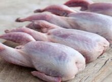 در مورد گوشت بلدرچین بیشتر بدانید!