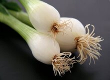 فواید عجیب و غریب سبزی محبوب ایرانی‌ها
