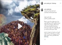 سورپرایز پسر مهران مدیری در راه است/ عکس