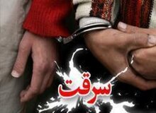 همکاری آقا و خانم مهندس برای سرقت از مردان مجرد