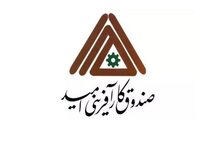 مدیرعامل صندوق کارآفرینی امید منصوب شد