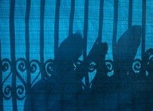 موادفروشی داماد و مادرزن در نازی آباد