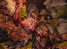 معدوم‌سازی بیش از ۱۰ تن مواد غذایی فاسد و تاریخ مصرف گذشته در شهریور ماه امسال