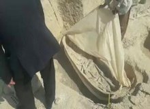  فیلم/ پوسیدن جسدهای باستانی در ۱۲ ماه به دلیل  نگهداری نامناسب در رامهرمز!