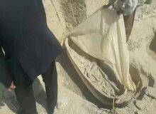 فیلم/ پوسیدن جسدهای باستانی در ۱۲ ماه به دلیل  نگهداری نامناسب در رامهرمز!