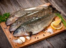 سهم غذاهای دریایی از سفره ایرانیان؛ یک ششم میزان استاندارد جهانی