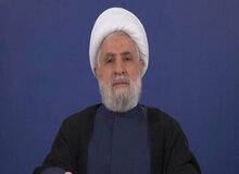 شیخ نعیم قاسم: به طور میانگین روزانه ۳۰ عملیات انجام دادیم