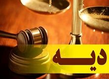  آیت الله محقق داماد: باید درباره تفاوت دیه مرد و زن از نظر فقهی تجدید نظر کرد+فیلم