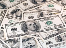 دلار دولتی 4214.3 تومان شد/ یورو 40 تومان ارزان شد

