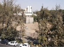 واکنش مدیر موزه فرش به خبر قطع درختان در این موزه: فقط سه چنار خشک‌شده را حذف کردیم