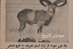 موفقیت چشمگیر ایران در نمایشگاه بین المللی شکار بوداپست