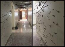 دفاتر نمایندگان فردا تحویل داده می شود