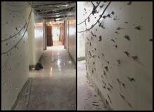 دفاتر نمایندگان فردا تحویل داده می شود