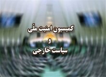 بررسی طرح جامع قانون مرزبانی در کمیسیون امنیت ملی مجلس