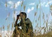 مرگ محیط بان دنا به دلایل نامشخص
