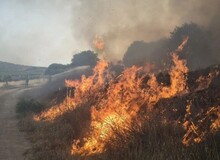 محیط‌زیست: آتش‌سوزی دوباره در پارک ملی بمو شیراز/ آتش‌نشانان پس از مهار حریق، در حال لکه‌گیری هستند