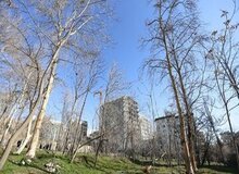 باغ ۲۰۰ ساله در معرض نابودی/ شهردار منطقه یک: به ما گفتند باغ معارض دارد