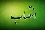 حکم وزیر اقتصاد برای بیمه مرکزی / بررسی یک مسیر قانونی