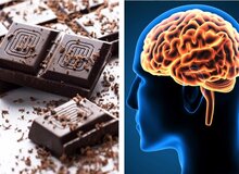 معجزه شکلات تلخ در رابطه با افزایش حافظه!