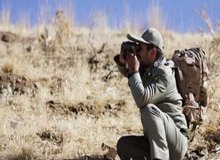 حمله با تبر و بریدن گوش یک محافظ محیط زیست