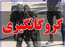 ماجرای گروگانگیری ۷۲ ساعته/ سرنوشت پسر ۱۱ ساله چه شد؟