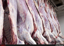 رییس شورای تامین دام کشور خبر داد: کاهش ۵۰ درصدی مصرف گوشت قرمز در بین خانوارهای ایرانی/ ۴ میلیون راس بره نر در دست دامداران مانده است