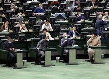 اگر مجلس به جای تصویب لایحه حمایت از حقوق زنان، مشغول رسیدگی به مجارات نگهداری سگ و گربه نمی شد، کار به اینجا نمی کشید