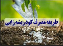 طریقه مصرف کود ریشه زایی (مزایا و میزان مصرف)