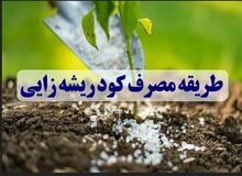طریقه مصرف کود ریشه زایی (مزایا و میزان مصرف)