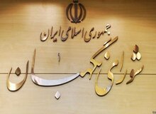 کدخدایی: مستندات شورای نگهبان دباره غیرشرعی دانستن عضویت «سپنتا نیکنام» در شورای شهر یزد 