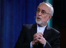 صالحی: هر گونه چشم طمع به آب و خاک ایران، محکوم به شکست است