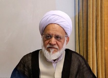 مصباحی‌مقدم: کارشکنی عیله دولت مورد رضایت رهبر انقلاب نیست/ مراد رهبری از آتش به اختیار بودن خروج از چارچوب‌های قانونی نبود