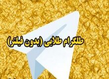 توضیح معاون قوه‌قضاییه درباره دسترسی به تلگرام از طریق هاتگرام و تلگرام طلایی: اینها به تمام تلگرام دسترسی ندارند
