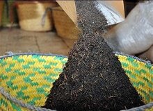 جزئیات تازه از پرونده فساد دبش/ ماجرای واردات "چای سنواتی سرطان‌زا" به ایران چیست؟
